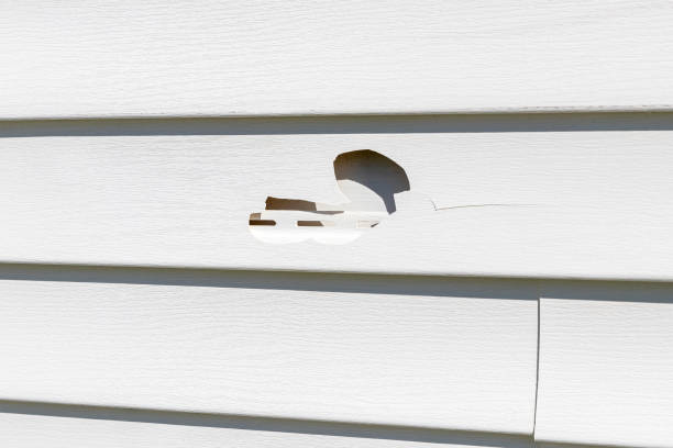Affordable siding repair and maintenance services in Mazomanie, WI