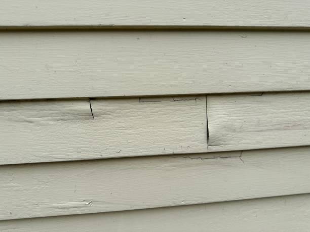 Storm Damage Siding Repair in Mazomanie, WI